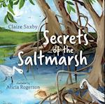 Secrets of the Saltmarsh