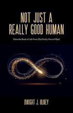 Not Just a Really Good Human: How the Book of Job Fixes Our Faulty View of God 