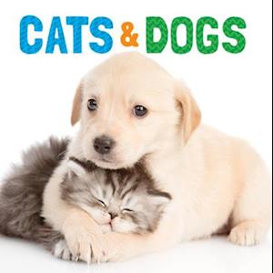 Cats & Dogs