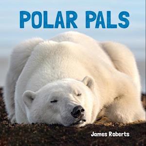 Polar Pals