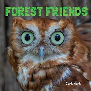 Forest Friends