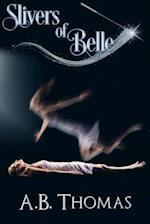 Slivers of Belle