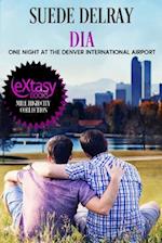 DIA: One Night at the Denver International Airport