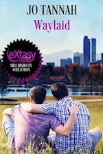 Waylaid