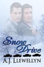 Snow Drive