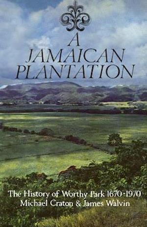A Jamaican Plantation