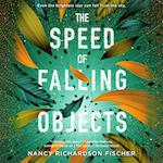 The Speed of Falling Objects