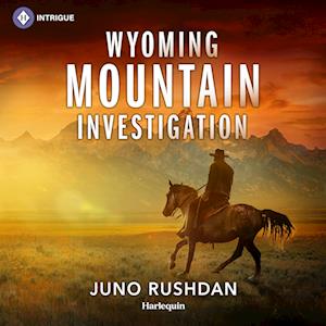 Wyoming Mountain Investigation