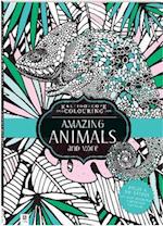 Kaleidoscope Colouring: Amazing Animals and More