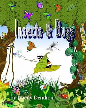 Insects & Bugs