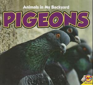 Pigeons