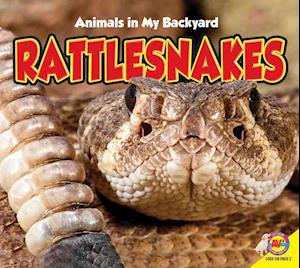 Rattlesnakes