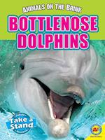 Bottlenose Dolphins