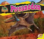 Pteranodon