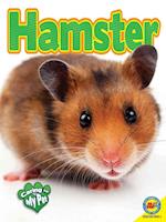 Hamster