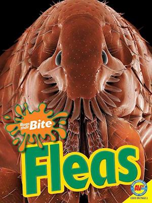 Fleas