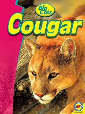 Cougar