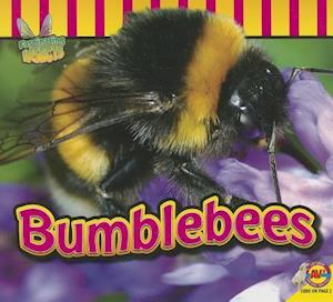 Bumblebees