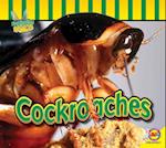 Cockroaches