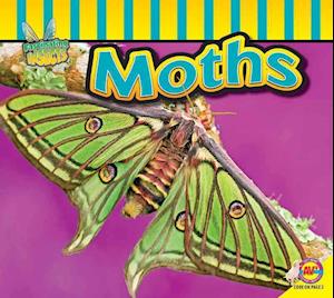 Moths