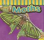 Moths