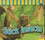 Stick Insects