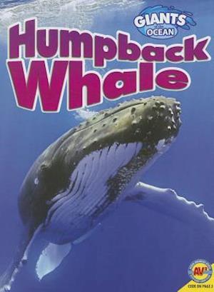 Humpback Whale