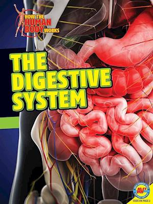 The Digestive System