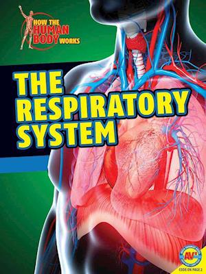 The Respiratory System