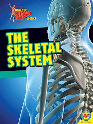 The Skeletal System