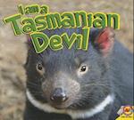 I Am a Tasmanian Devil