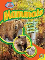 Mammals