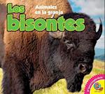 Los Bisontes