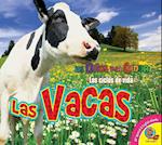 Las Vacas