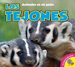 Los Tejones