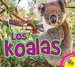 Los Koalas