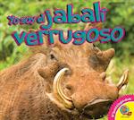 El Jabali Verrugoso