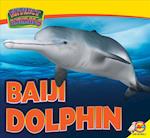 Baiji Dolphin