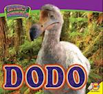 Dodo