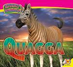 Quagga