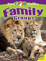 Family Groups