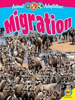 Migration