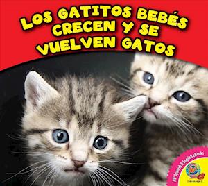 Los Gatitos Bebes Crecen y Se Vuelven Gatos