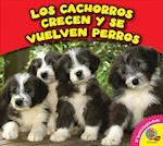 Los Cachorros Crecen y Se Vuelven Perros