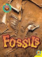 Fossils