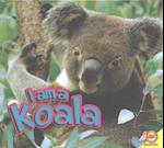 I Am a Koala
