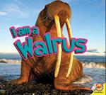 I Am a Walrus