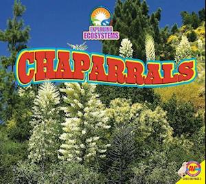 Chaparrals