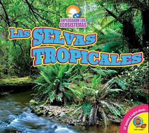 Las Selvas Tropicales (Rainforests)