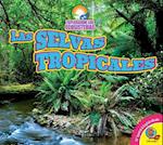 Las Selvas Tropicales (Rainforests)